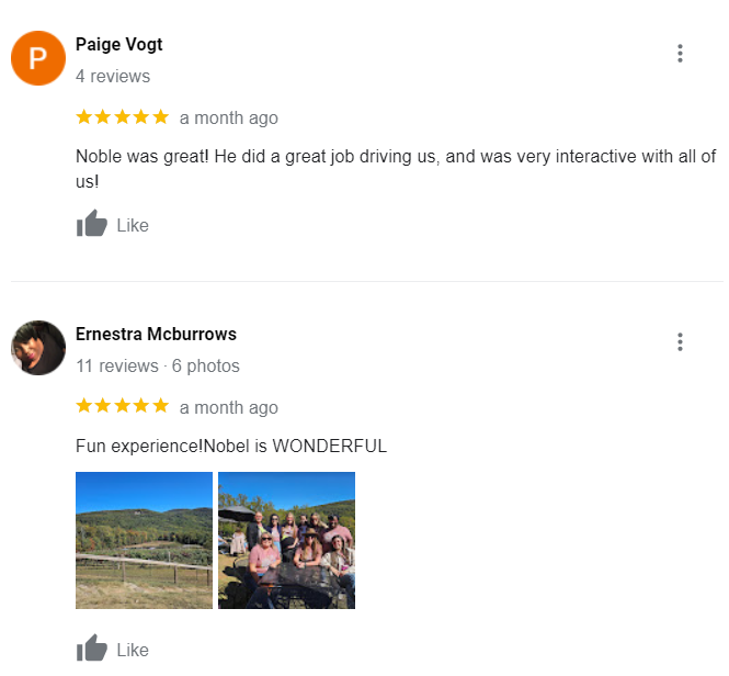 Google Review 15